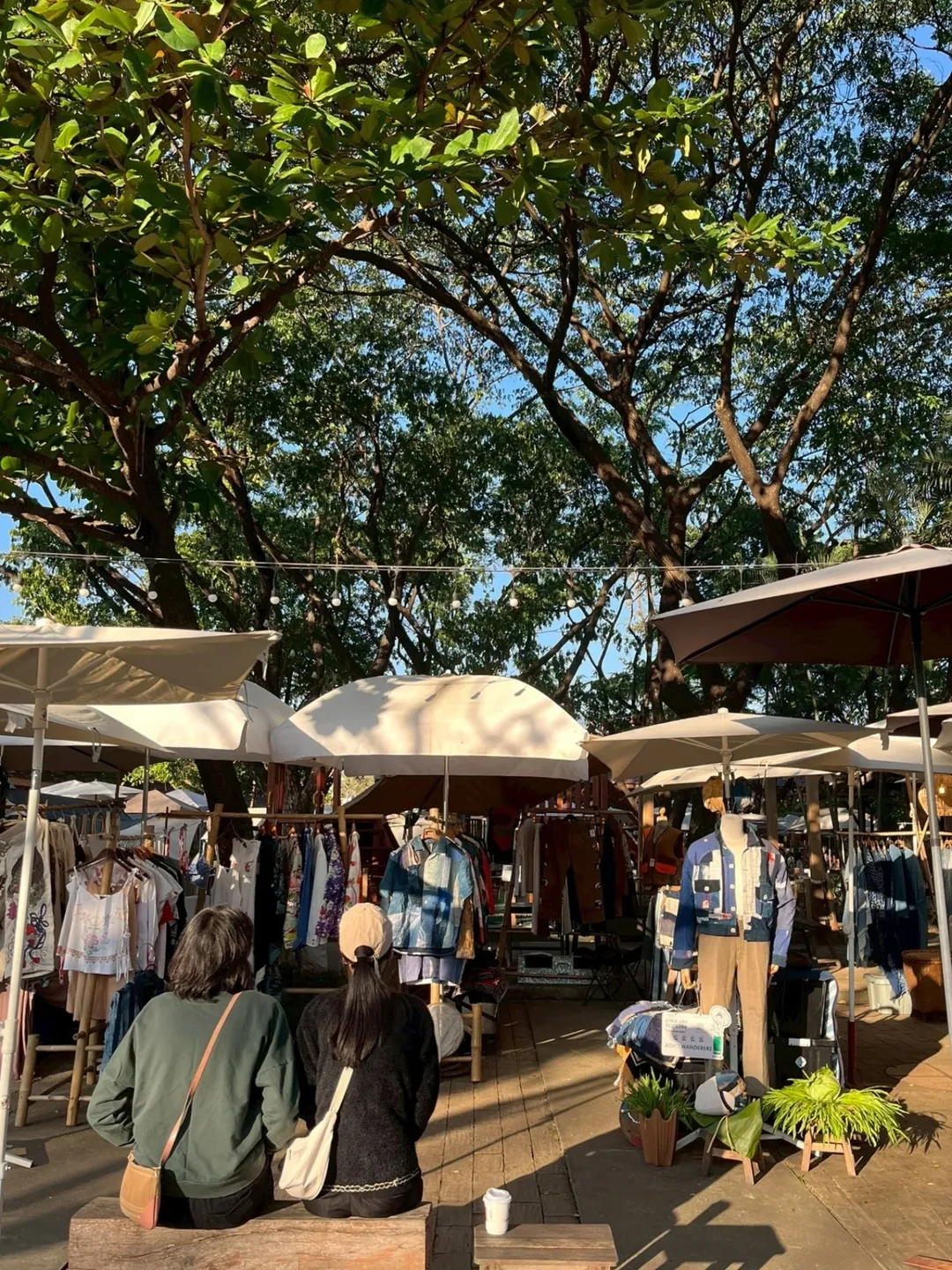 ดื่มด่ำกับอากาศเย็นสบายของเชียงใหม่ ท่ามกลางเสน่ห์ของตลาดนัดเพื่อชุมชน ที่ตลาดจริงใจ ณ โครงการจ