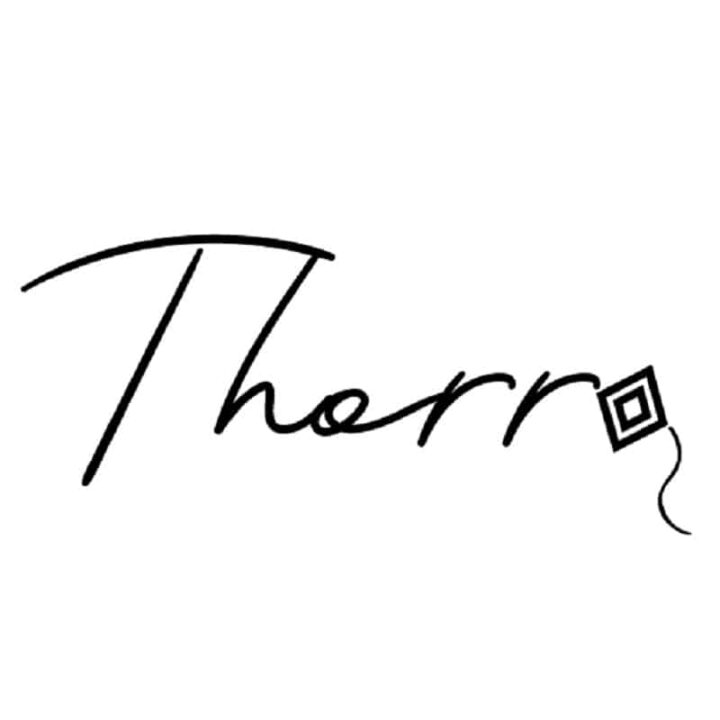 BKK-thorr-logo