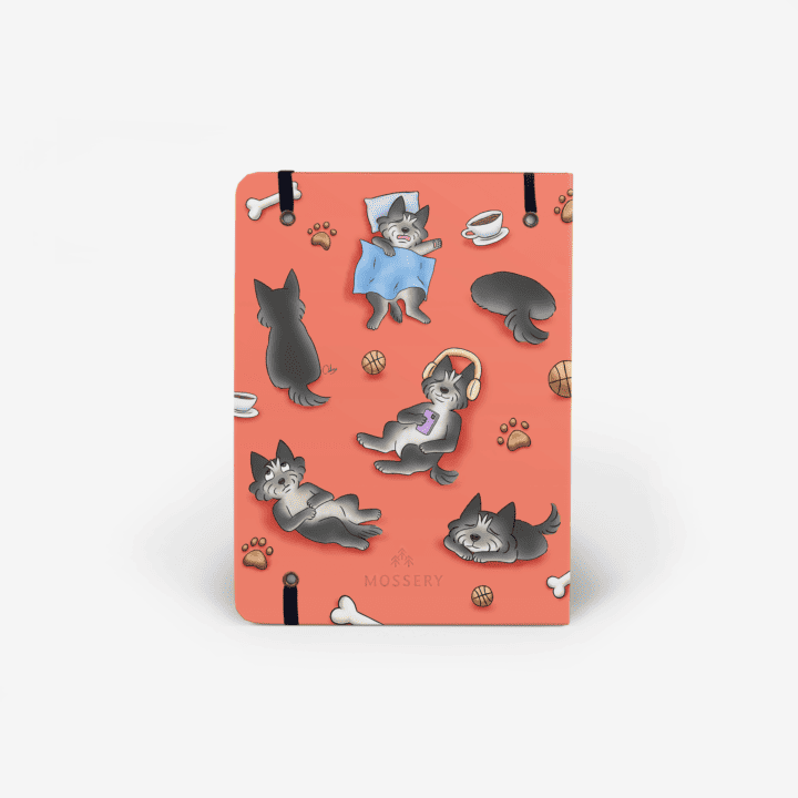 Back-Cover