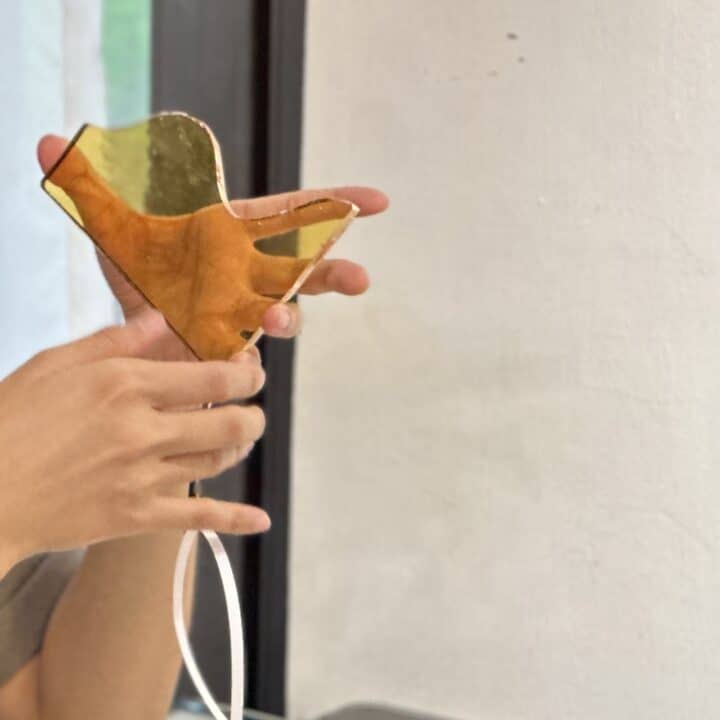 S__6324233_0